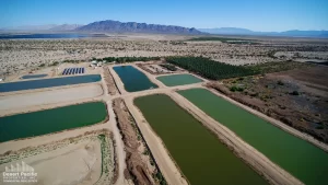 88.13 AC 24511 Rice Rd, Desert Center Drone Aerial