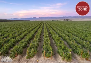 80 AC 93751 Ave 71 (Walton), MC Featured Image