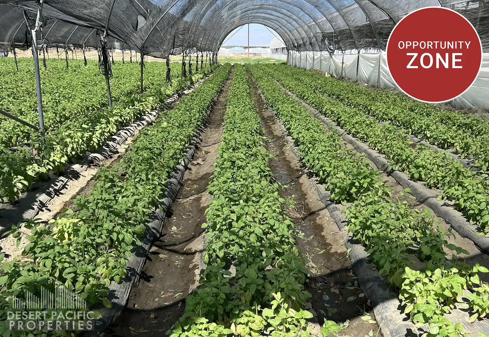 77.6 AC 78100 Harrison St, OA Featured Image