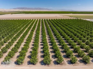 40 AC Wheeler & Ave 67, MC Property Photos