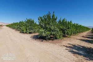 40 AC Wheeler & Ave 67, MC Property Photos